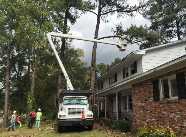 Best Storm Damage Tree Cleanup  in Fort Walton Beach, FL